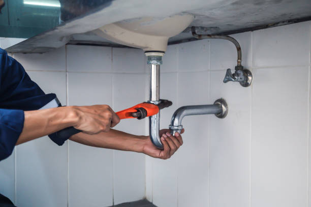Best Clogged Drain Plumber  in Johnston, IA